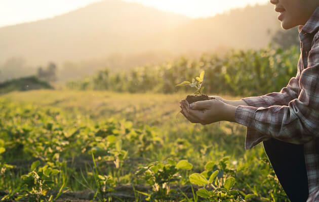 Semaine du développement durable